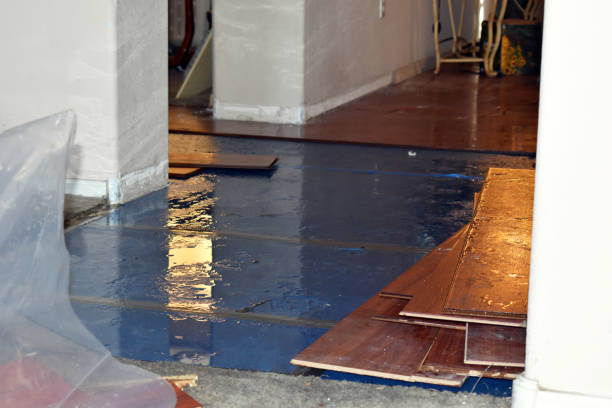 Professional Basement Flood Cleanup technician working in Old Greenwich, CT